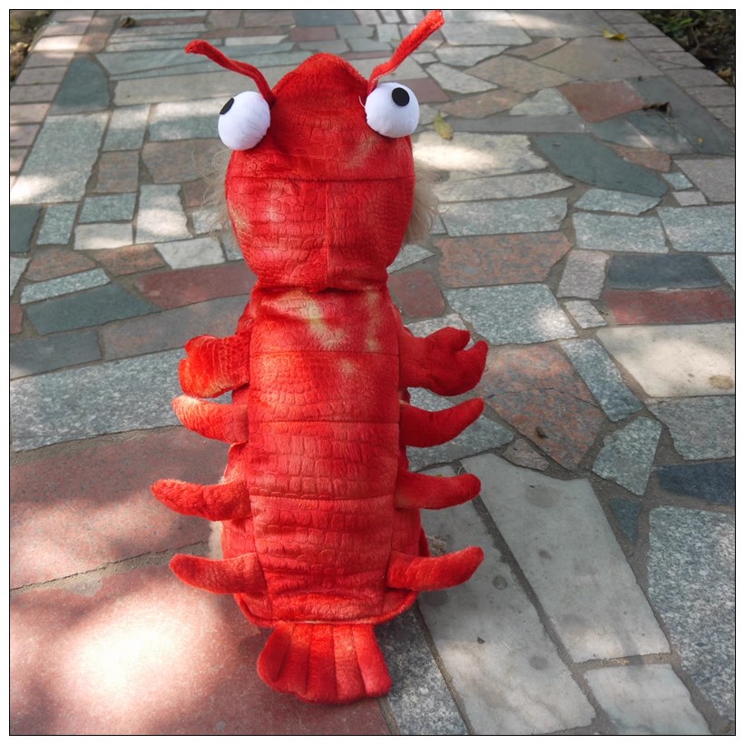 Pet Lobster Clothes Dog Cat Fu - Winter Clothing Clearance 评论和价格